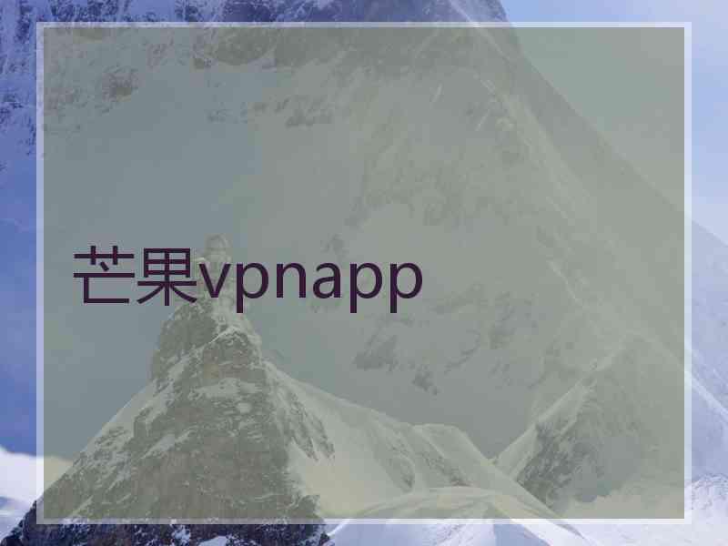 芒果vpnapp