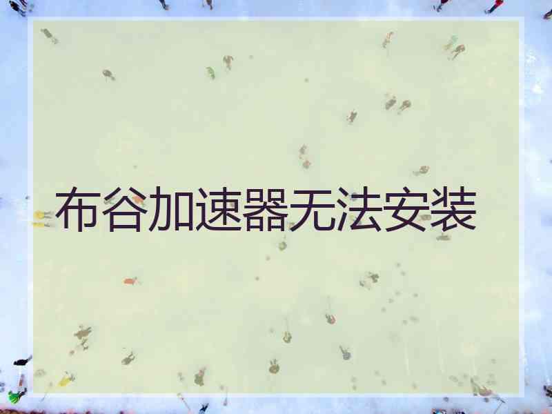 布谷加速器无法安装