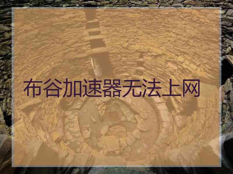 布谷加速器无法上网