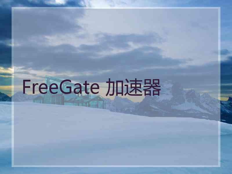FreeGate 加速器