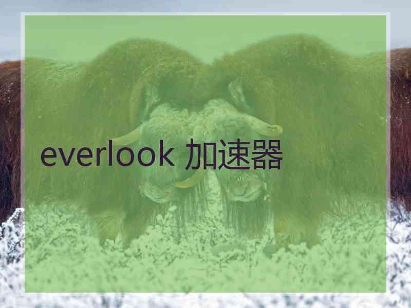 everlook 加速器