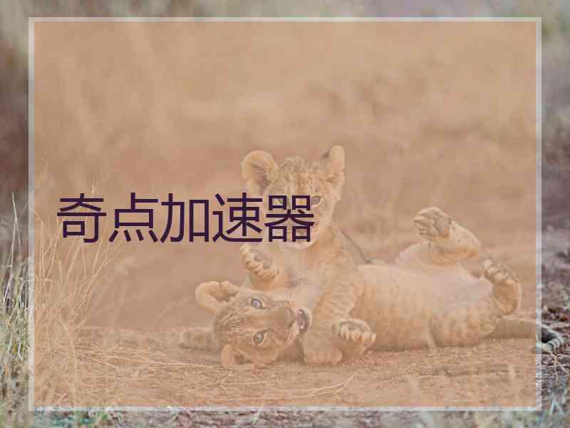奇点加速器