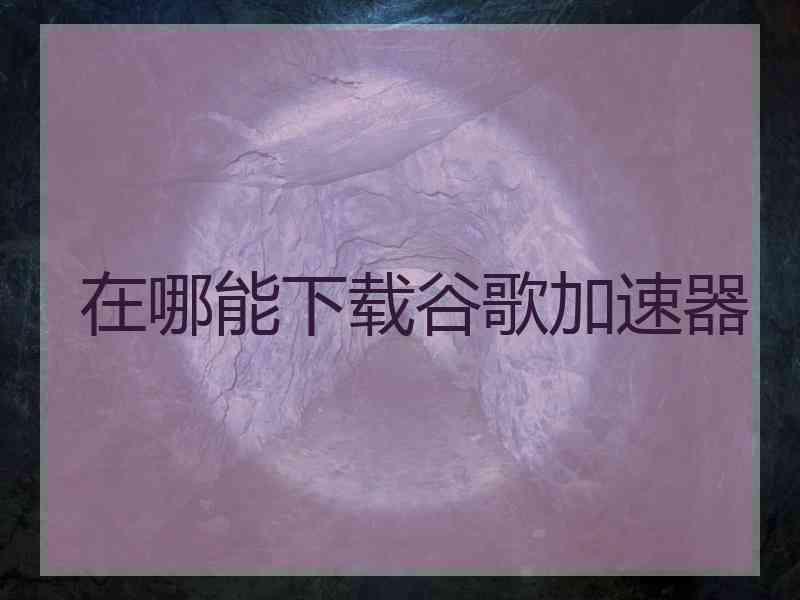 在哪能下载谷歌加速器