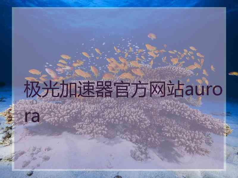 极光加速器官方网站aurora