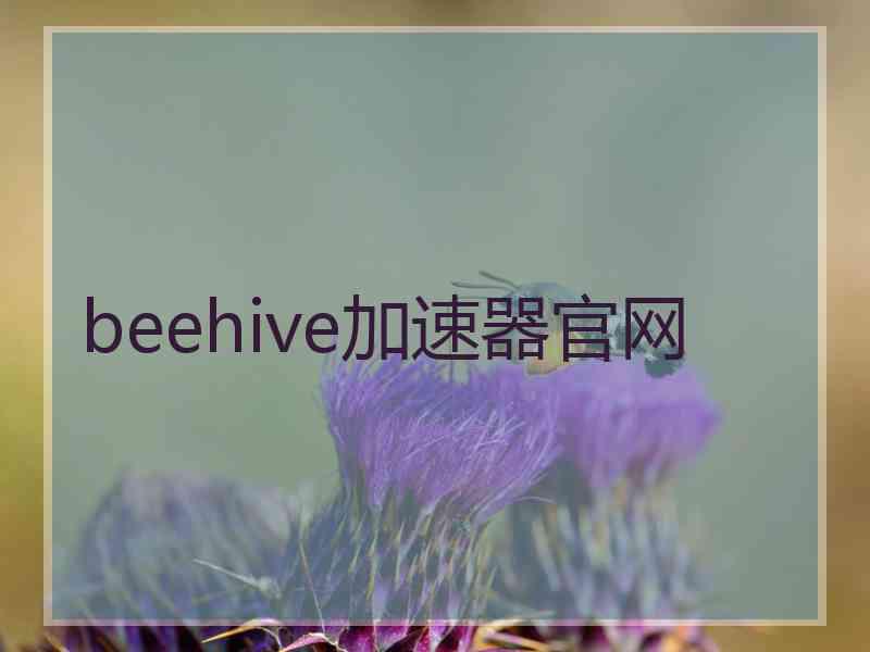 beehive加速器官网