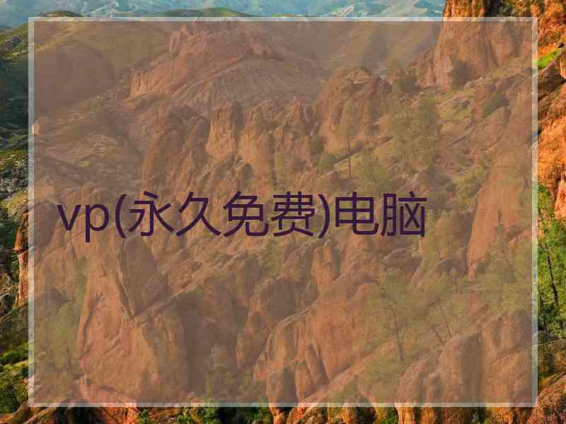 vp(永久免费)电脑