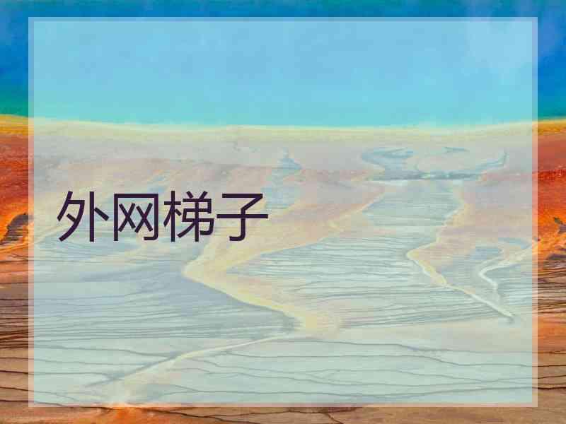 外网梯子