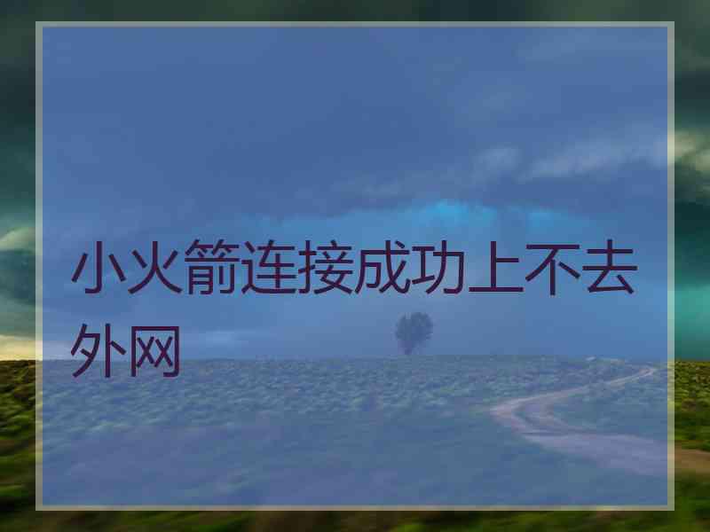 小火箭连接成功上不去外网