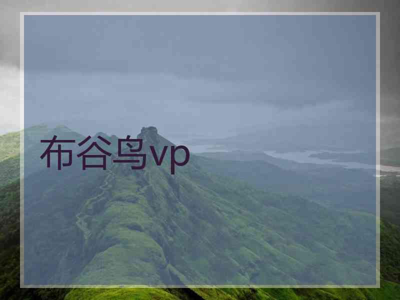 布谷鸟vp