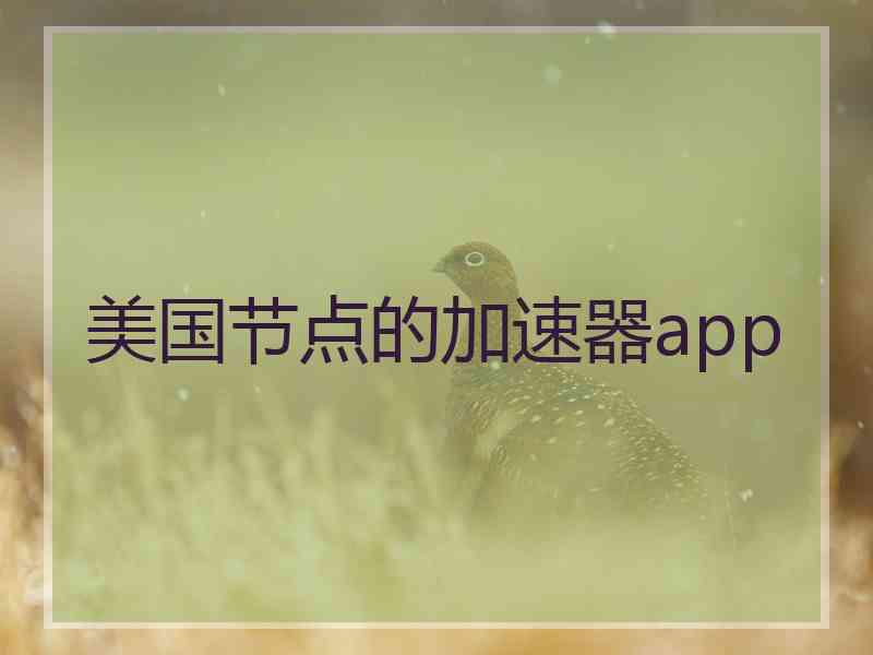 美国节点的加速器app
