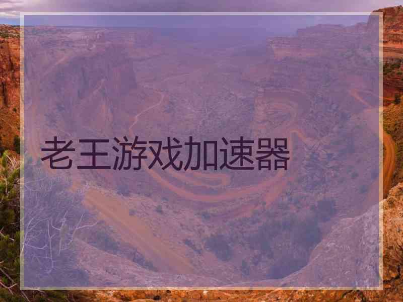 老王游戏加速器