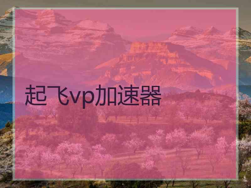 起飞vp加速器