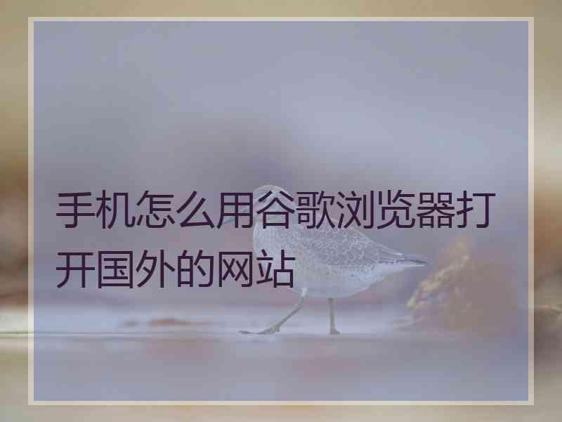 手机怎么用谷歌浏览器打开国外的网站