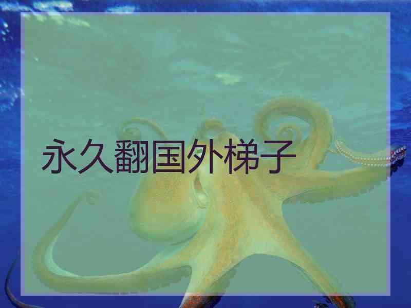 永久翻国外梯子