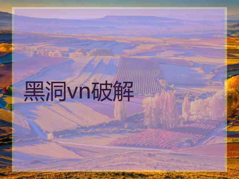 黑洞vn破解