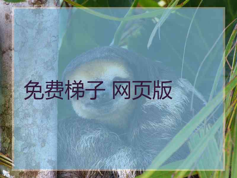 免费梯子 网页版