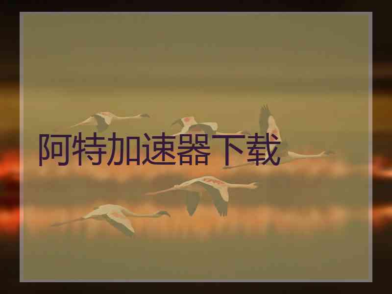 阿特加速器下载