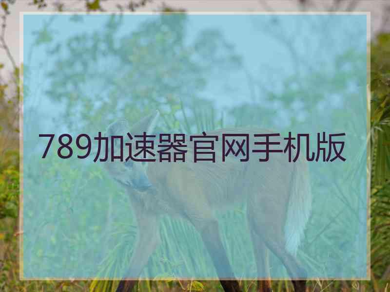 789加速器官网手机版