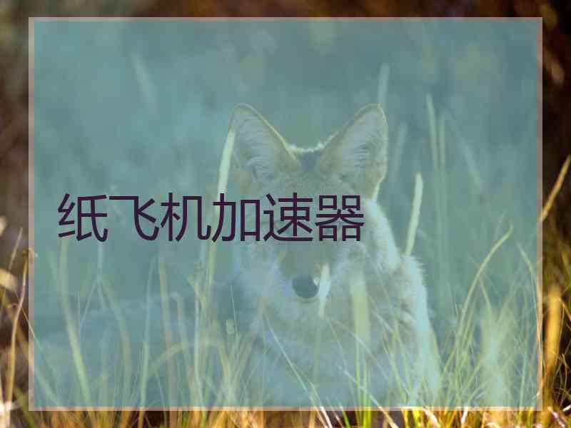 纸飞机加速器