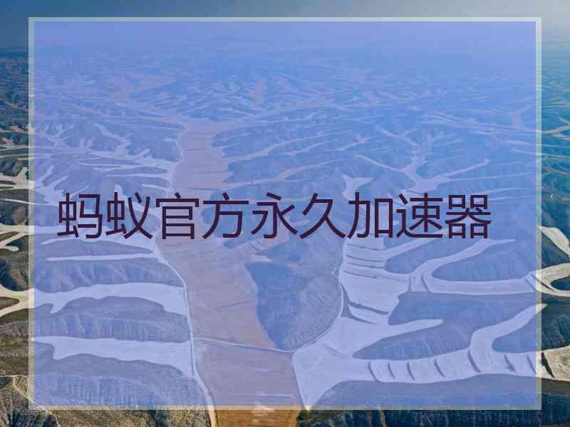 蚂蚁官方永久加速器