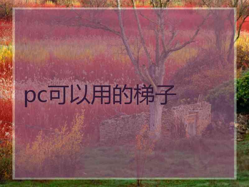 pc可以用的梯子