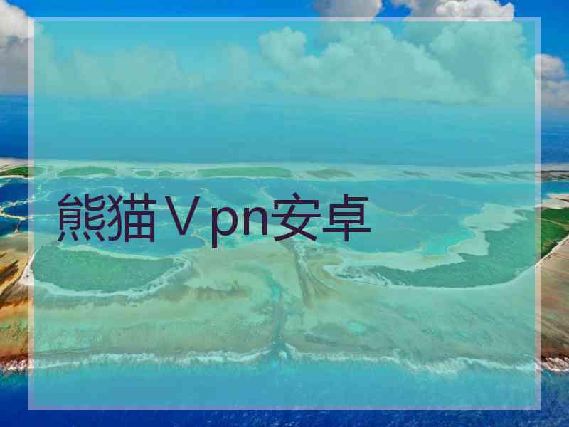 熊猫Ⅴpn安卓