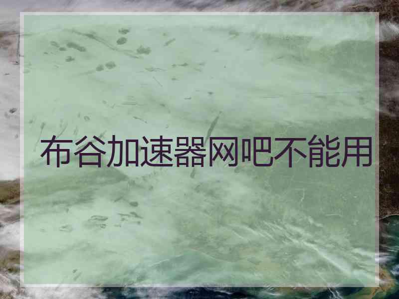 布谷加速器网吧不能用