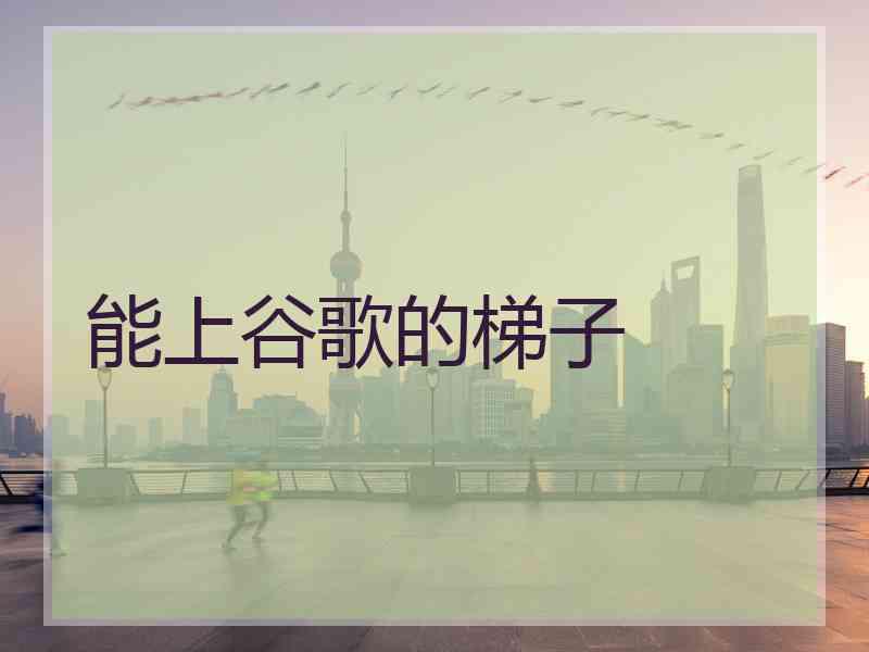 能上谷歌的梯子