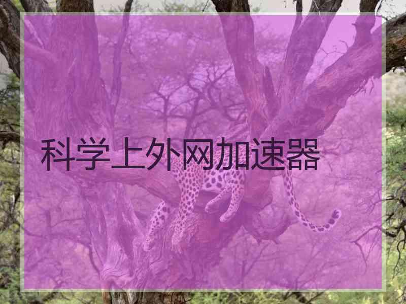 科学上外网加速器