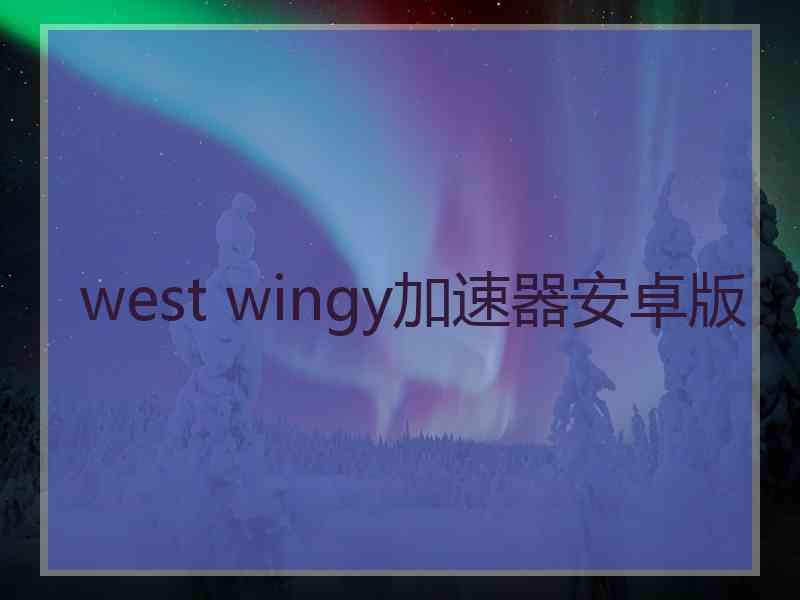 west wingy加速器安卓版