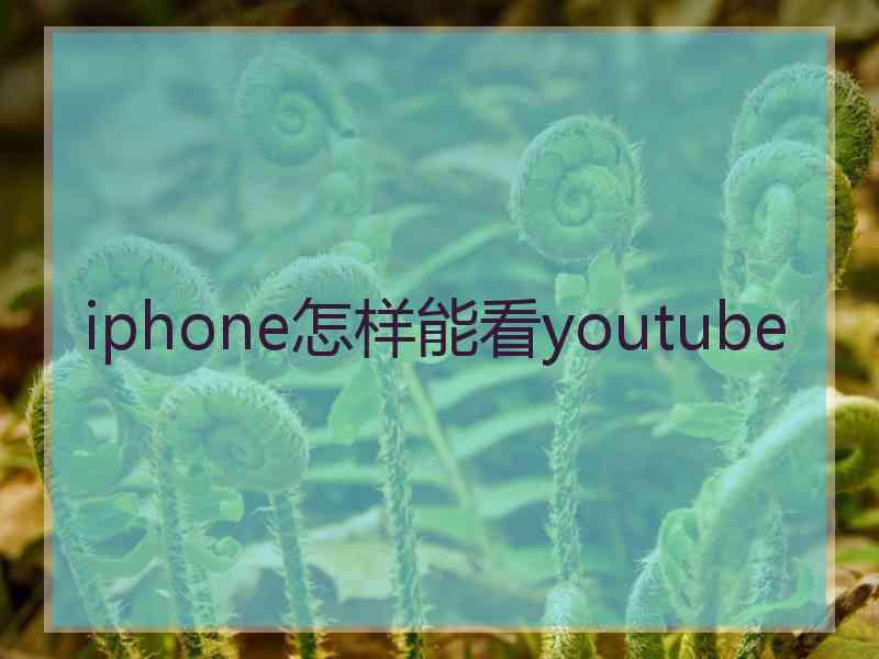 iphone怎样能看youtube