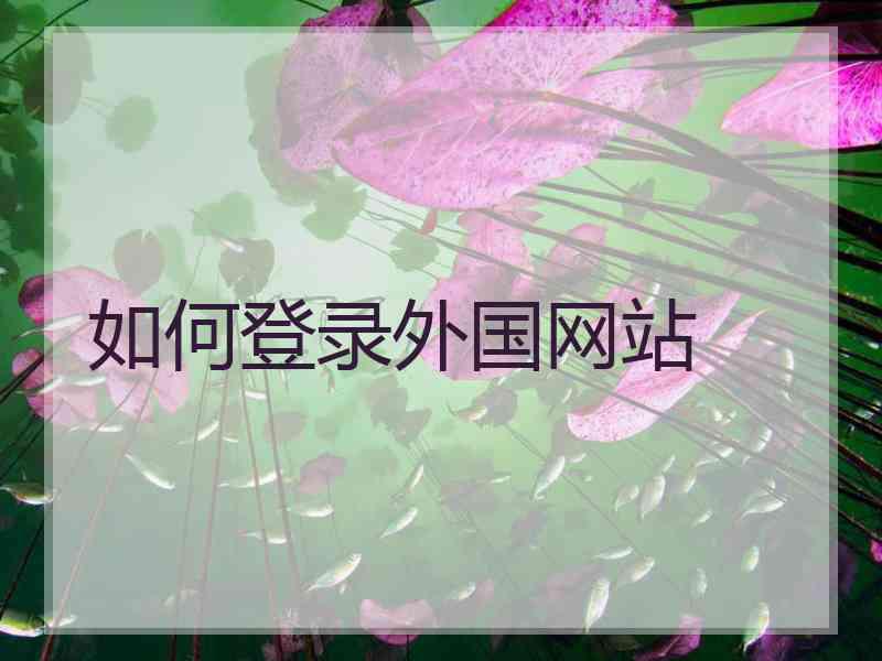 如何登录外国网站