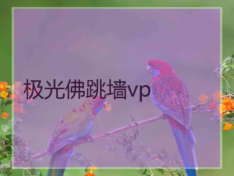 极光佛跳墙vp