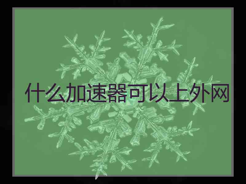 什么加速器可以上外网