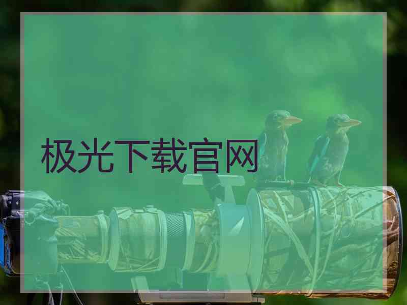 极光下载官网