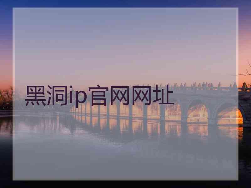 黑洞ip官网网址