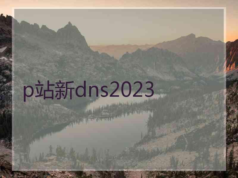 p站新dns2023