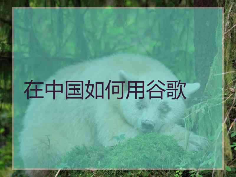 在中国如何用谷歌