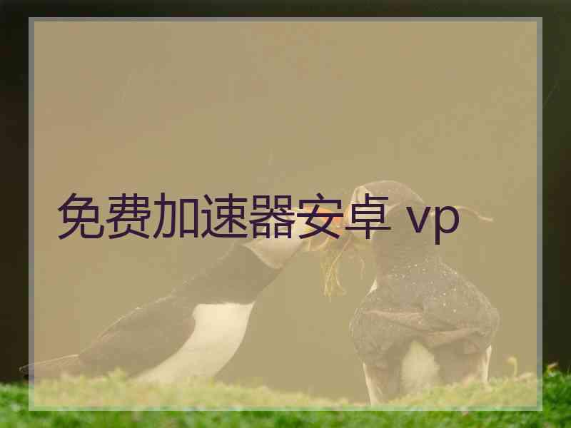 免费加速器安卓 vp