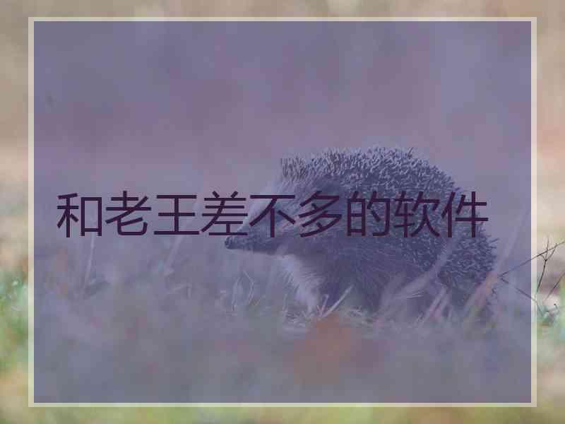 和老王差不多的软件