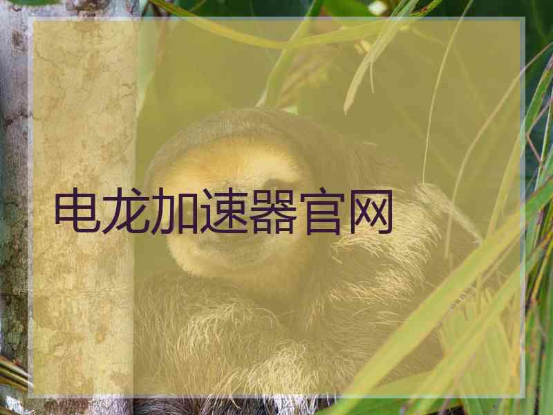 电龙加速器官网