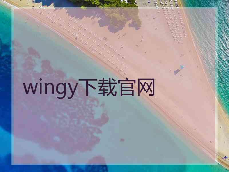 wingy下载官网