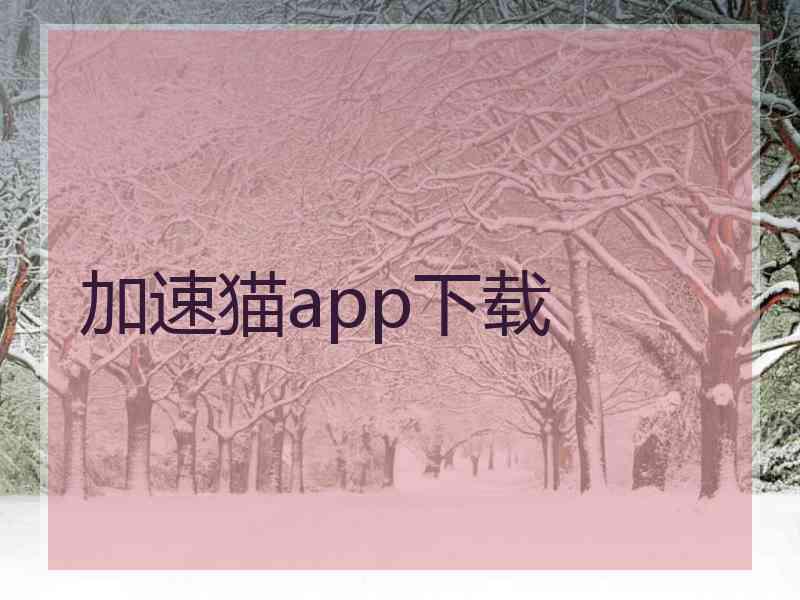 加速猫app下载