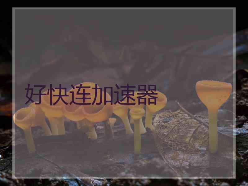 好快连加速器