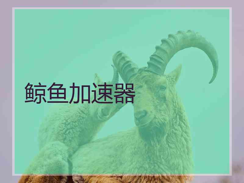 鲸鱼加速器