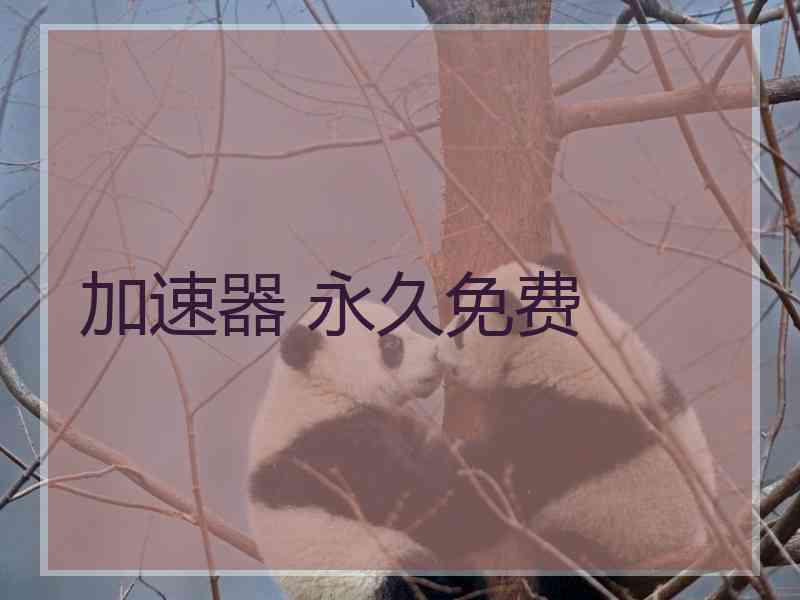 加速器 永久免费