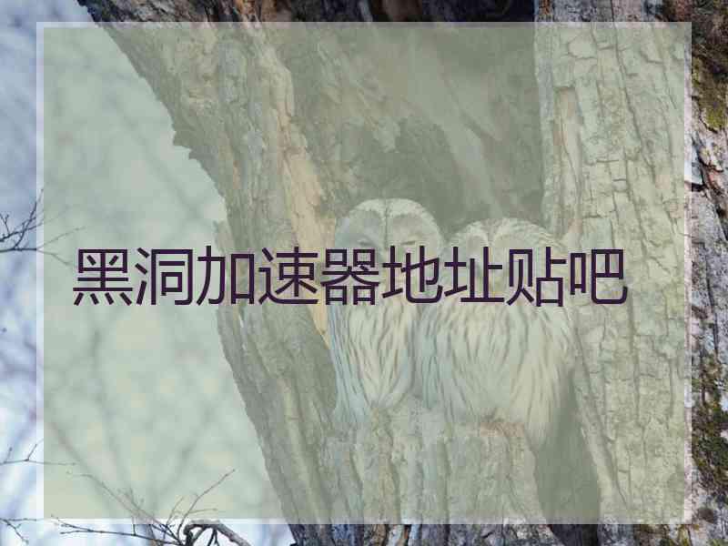 黑洞加速器地址贴吧