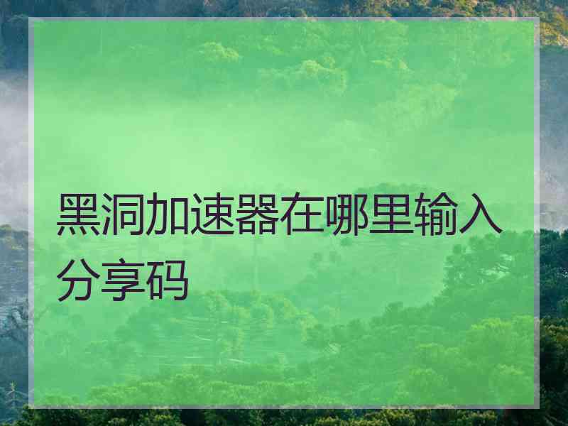 黑洞加速器在哪里输入分享码