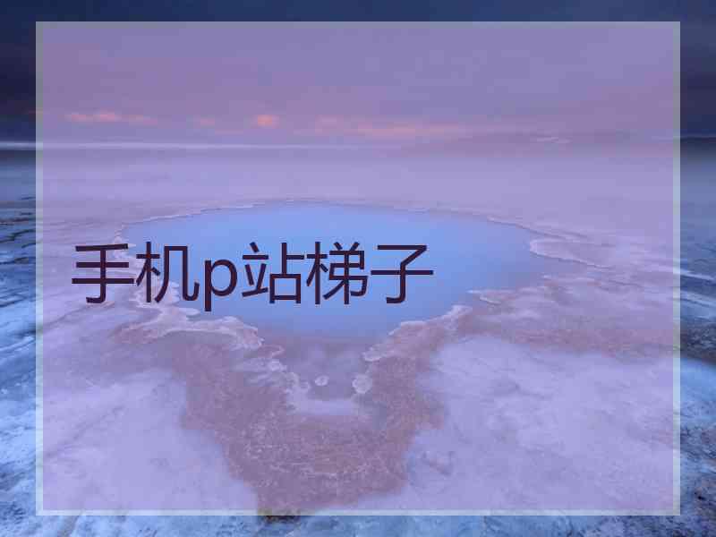 手机p站梯子