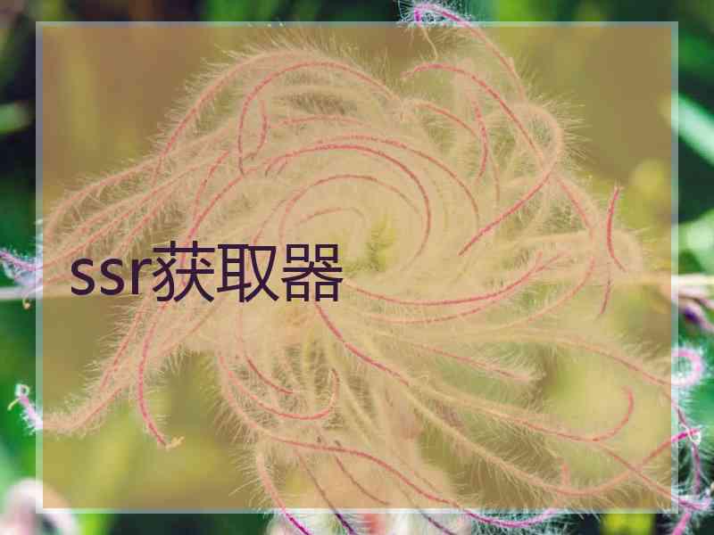 ssr获取器